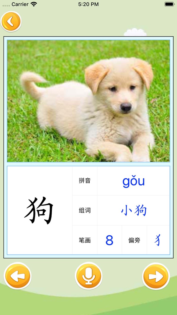 宝宝爱识字最新版