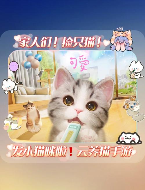 新版猫咪2.0app