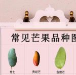 一区二区三区芒果_