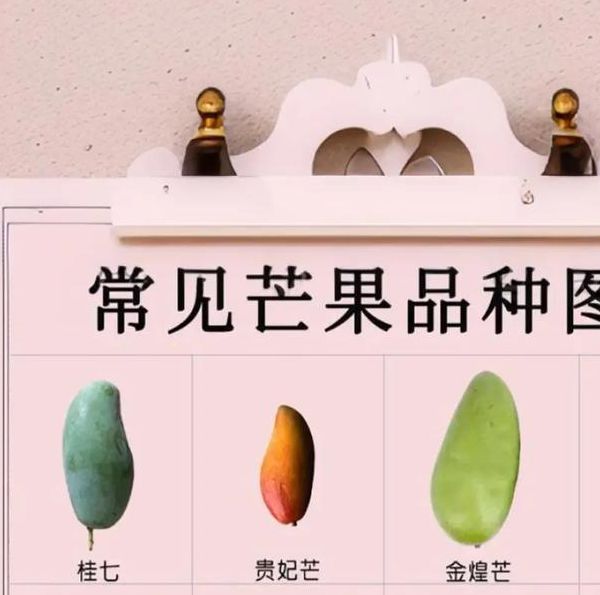 一区二区三区芒果_