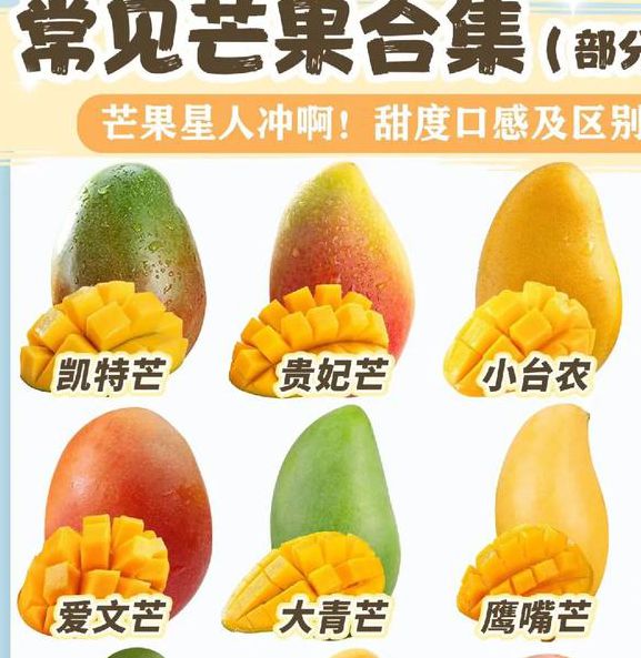 一区二区三区芒果_