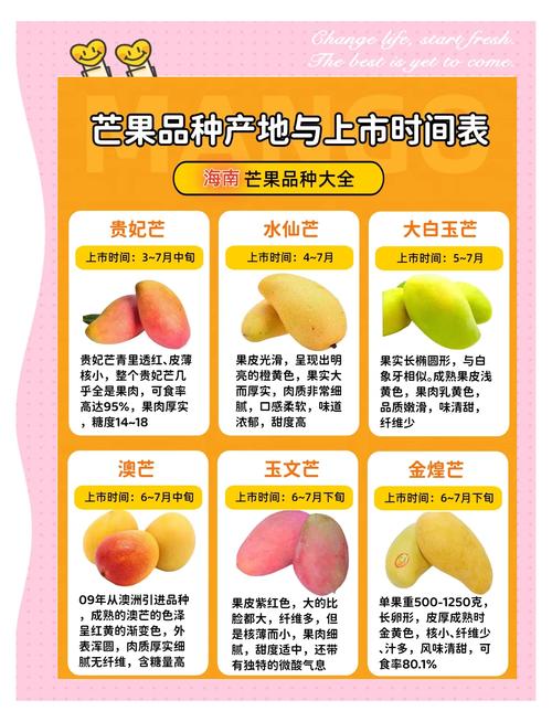 一区二区三区芒果_