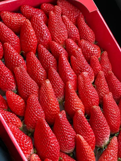 香蕉榴莲秋葵茄子草莓免费版