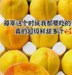 黄桃视频嘿呦嘿呦