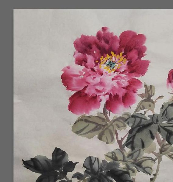 牡丹直播高清版