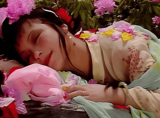 新红楼梦艳情版