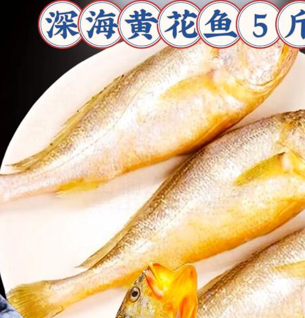 5g黄鱼视频