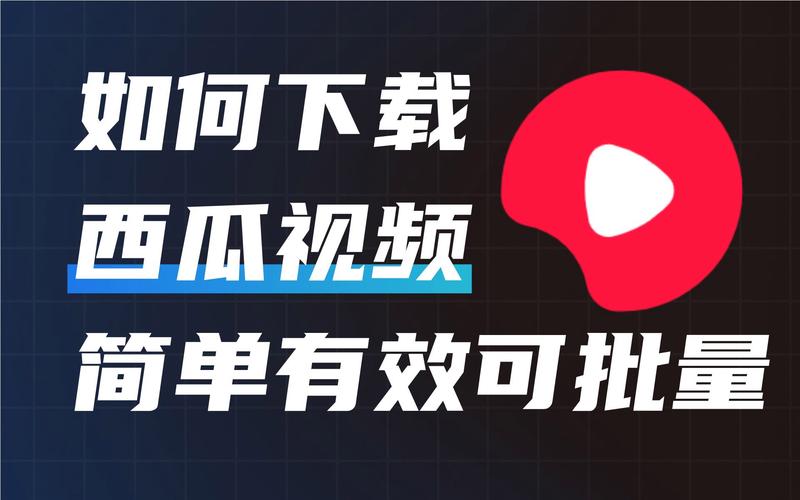 2019西瓜天狼影院