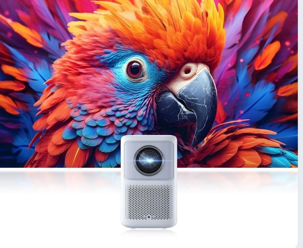 BesTV哈趣影视官方版v3.11.7