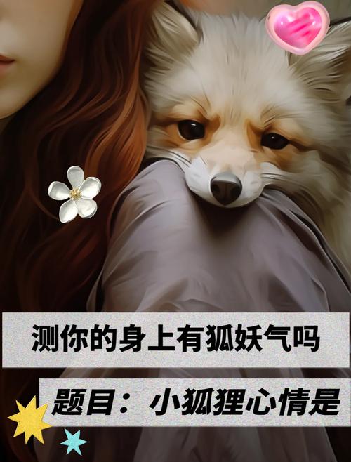 家里养个狐狸精txt下载