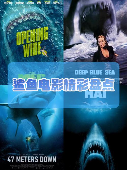 鲨鱼影视2021最新版本