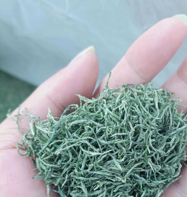 新茶一分三块直播