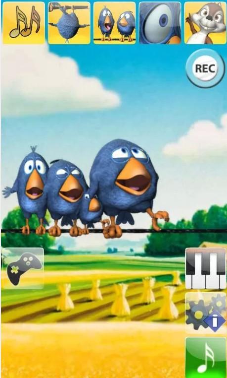 电线上会说话的小鸟