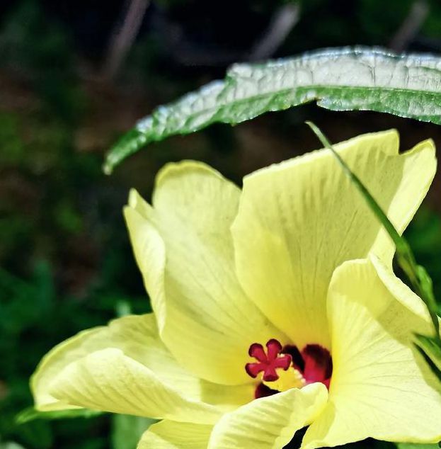 秋葵男的加油站女人美容院看
