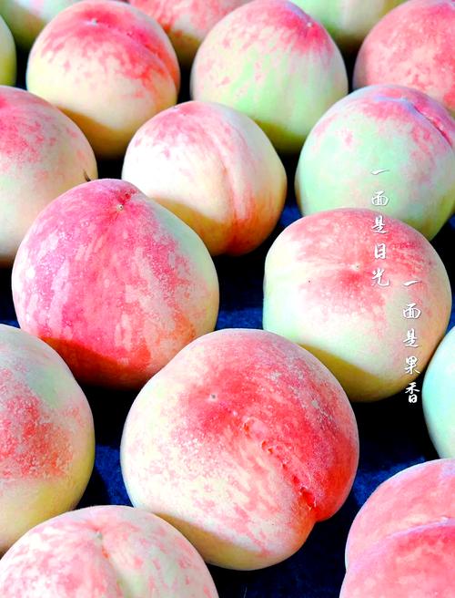 水蜜桃带你另眼看世界最新版