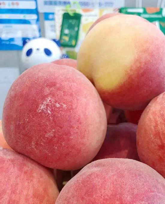 水蜜桃带你另眼看世界最新版