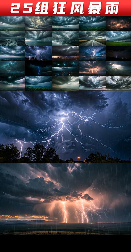 狂风暴雨txt下载