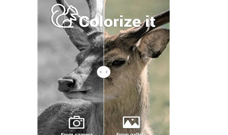 1627616536641222.png ~3O9KI64W33M}{}35I6NDV9.png