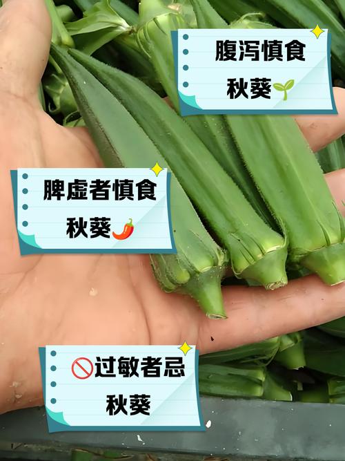 草莓 香蕉 丝瓜 秋葵 香草 榴莲最新版