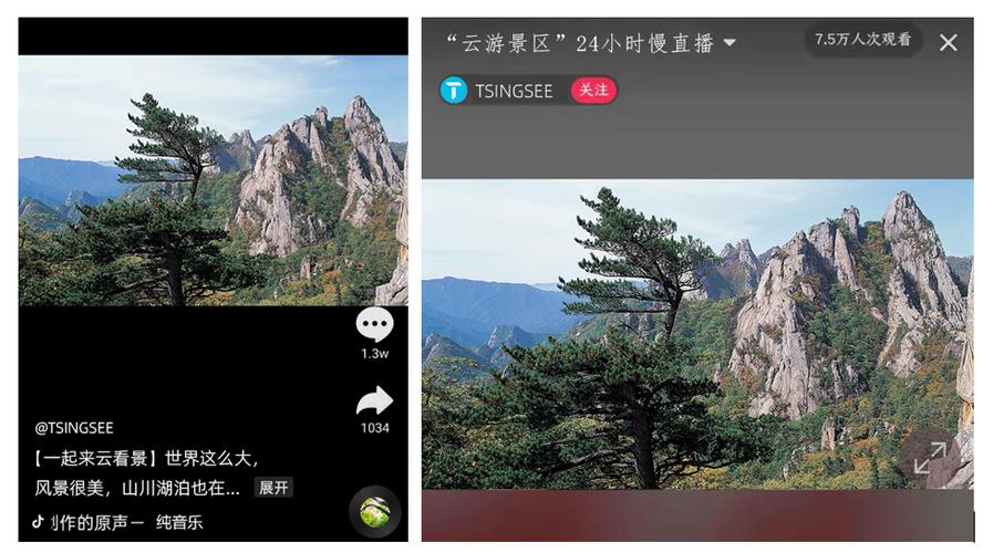 风景区实时直播