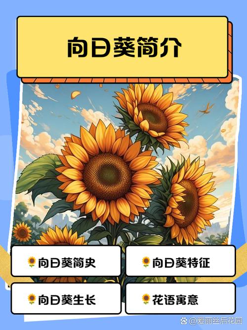 向日葵app免费下载网址进入苹果版