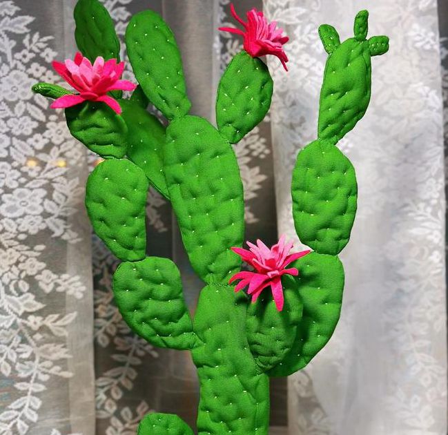 仙人掌视频安卓版