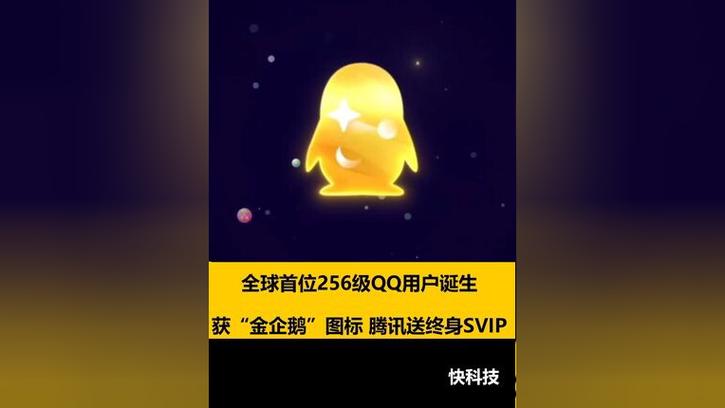 qqcvip软件