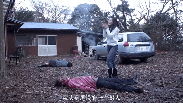 冰冷热带鱼完整版