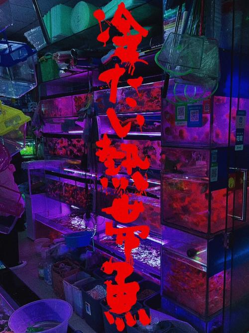 冰冷热带鱼完整版