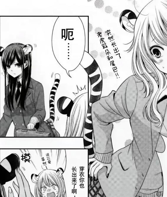 柚子漫画官方网站