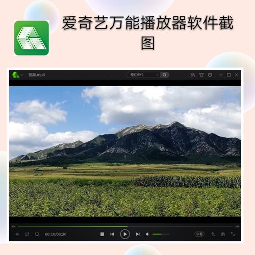 爱奇艺万能播放器安卓版