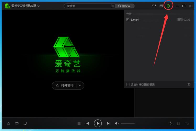 爱奇艺万能播放器安卓版
