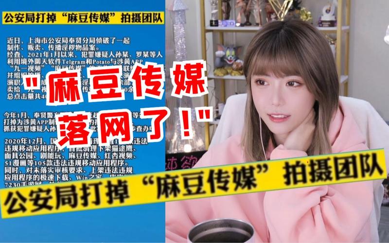 麻豆视传媒短视频网站-入口2021仙踪林免费