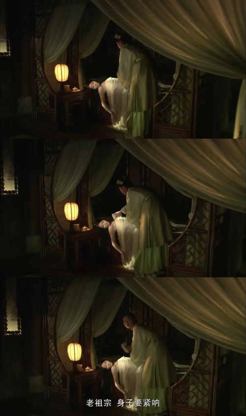 新红楼梦 艳情版