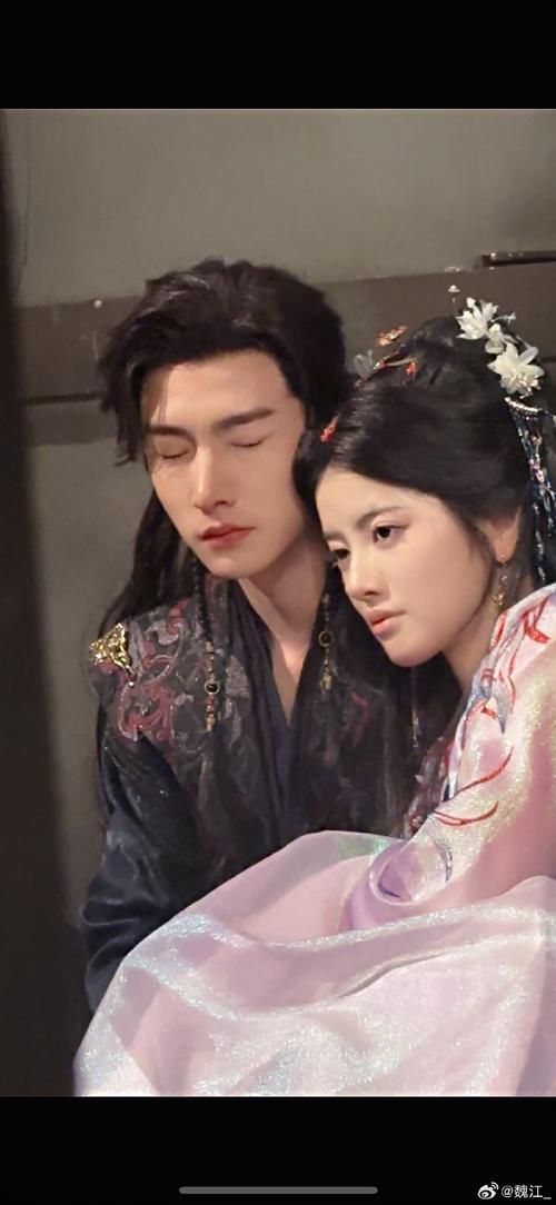 将军不可以在线