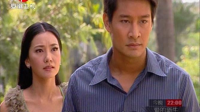 真爱无价2国语版全集