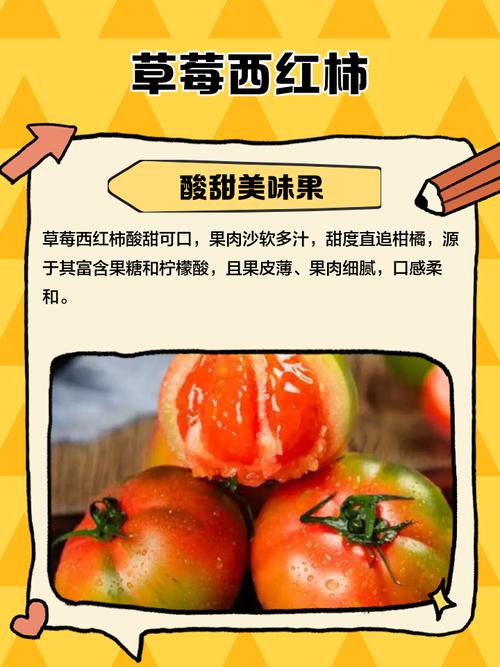 茄子香蕉番茄草莓污免费