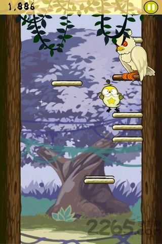 小鸟跳跳官网版