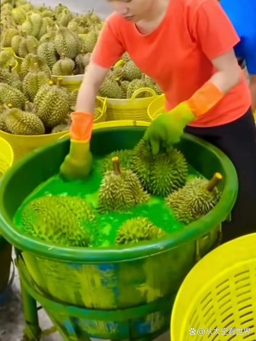 榴莲视频汅api免费绿巨人