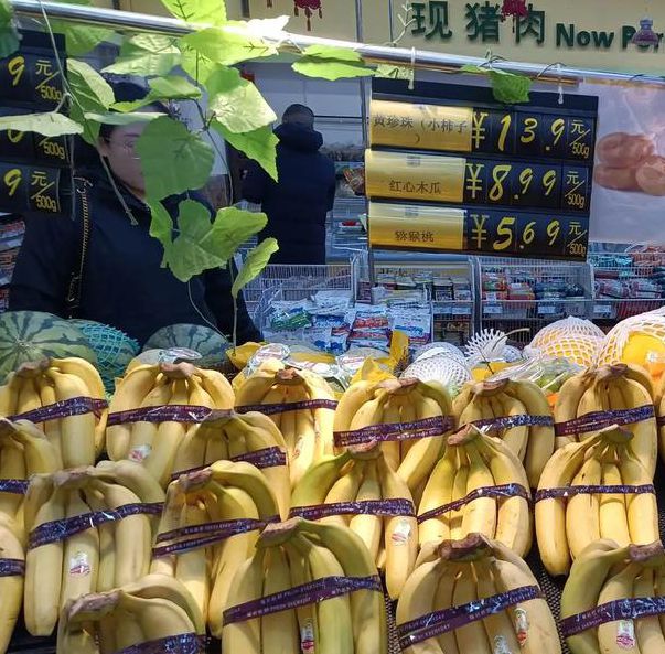 香蕉榴莲绿巨人