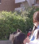 校花的贴身高手txt全集免费下载