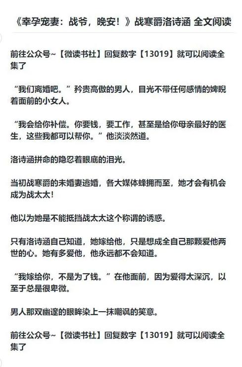 洛诗涵和战寒爵小说全文免费阅读正版