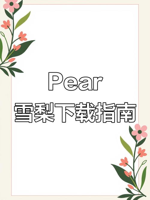 pear雪梨最新版