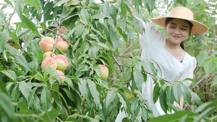 水蜜桃成视频人在线播放下载