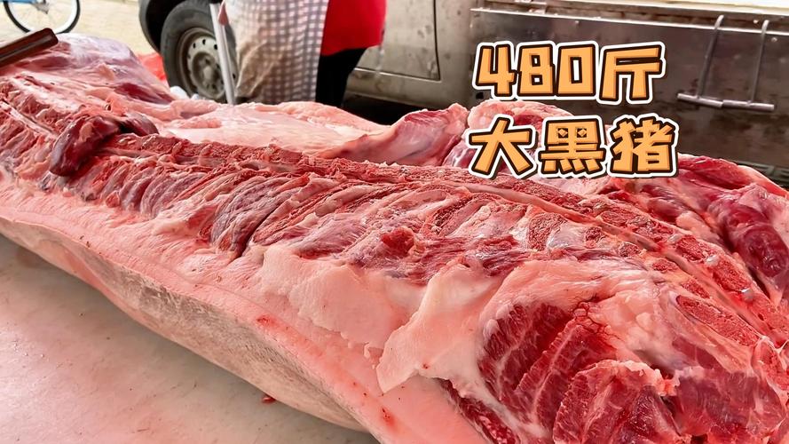 仙踪林大豆行情网老狼贰佰信息网