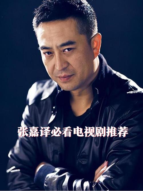 张嘉译的电视剧大全集