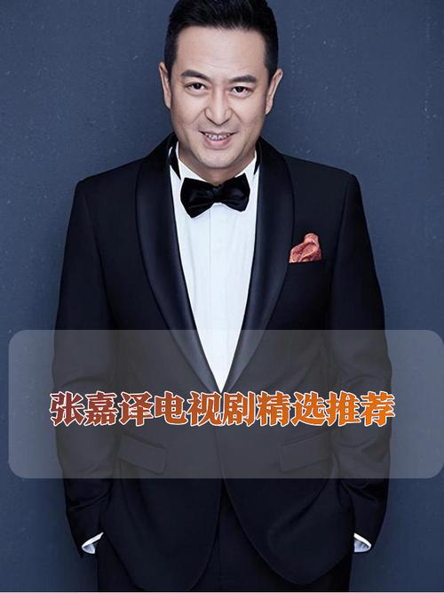 张嘉译的电视剧大全集