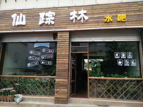 仙踪林免费视频入口电影资讯头条