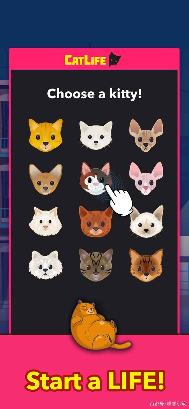 猫生模拟器