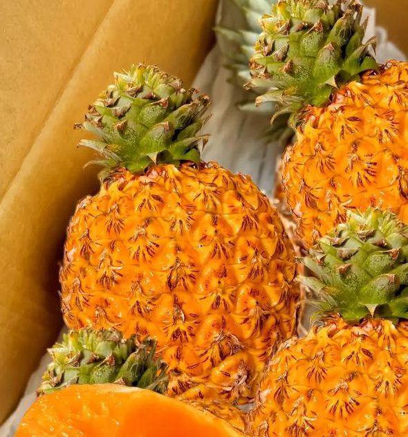 芒果深夜释放自己